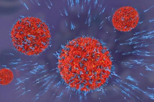 Lupus: a new monoclonal antibody improves treatment