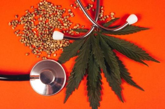 Elected officials commit to therapeutic cannabis: what studies are they based on?