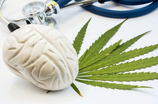 Cannabis would decrease pain, but not as imagined