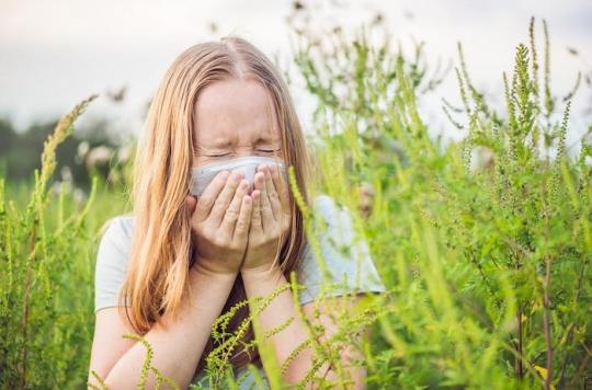 Ambrosia: allergies have started, first peak expected in early August