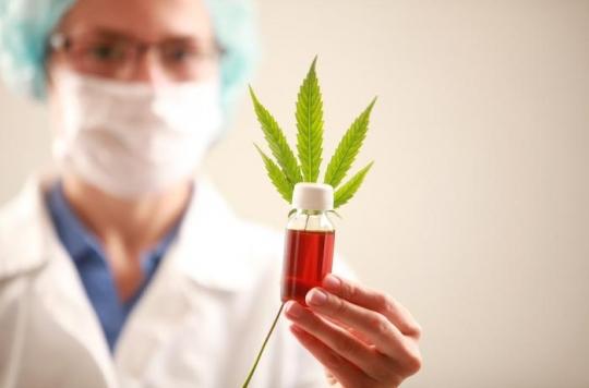 Medical cannabis: what are its health benefits?