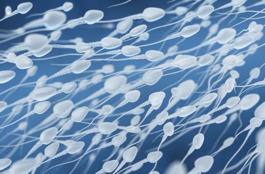 Air pollution decreases sperm quality