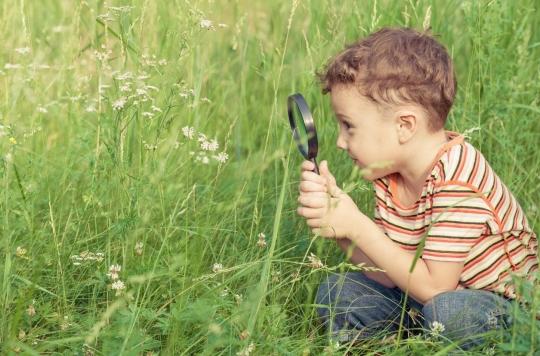 Curious children are more likely to succeed in school