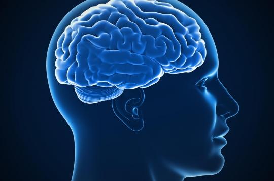 Epilepsie : un enfant de 6 ans soigné grâce à l'ablation d'une partie de son cerveau