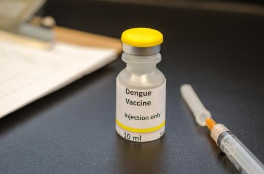 Dengue fever: the reasons that prevent the vaccine from really protecting against the disease