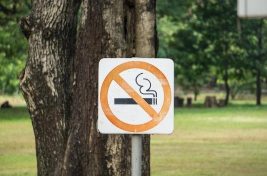 In Strasbourg, smoking will soon be banned in parks and green spaces