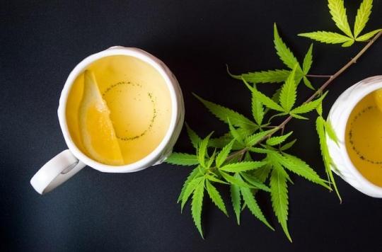 Cannabis herbal teas seized by the gendarmes: the prosecution decides to put them back on sale