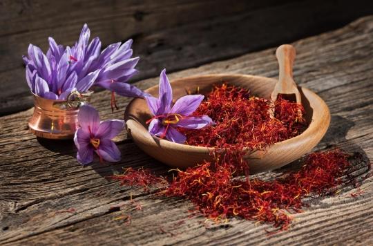 Saffron effective against stress and blues
