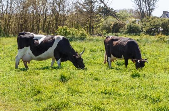 World Parkinson’s Day: “Farmer, I contracted the disease because of cleaning products”