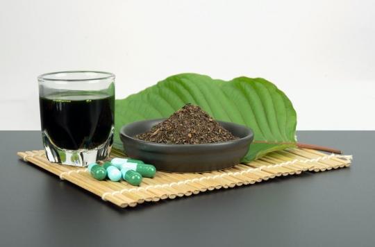 Self-medication with kratom can be dangerous for treating alcoholism