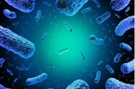 180 dead in South Africa: discovery of the origin of the worst listeriosis epidemic