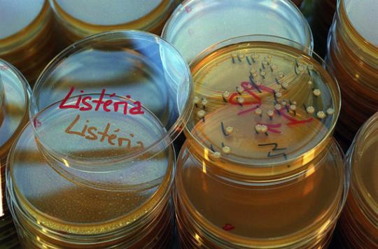 Listeria: the Pasteur Institute discovers hypervirulent strains