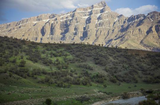 Iran: 1500-year-old giant skeleton discovered