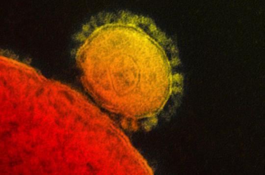 Coronavirus: 9 confirmed cases in South Korea