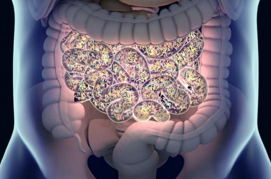 The microbiota would play a role in the degree of severity of Covid-19