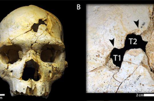 430,000-year-old murder discovered in Spain