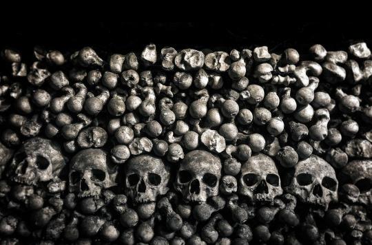 Discovery: the bubonic plague appeared at least 4000 years ago