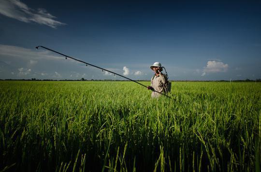 Glyphosate: MEPs demand that the vote be dropped