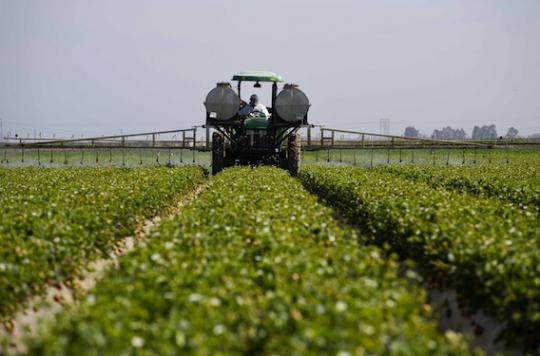 COPD: children exposed to pesticides more at risk in adulthood