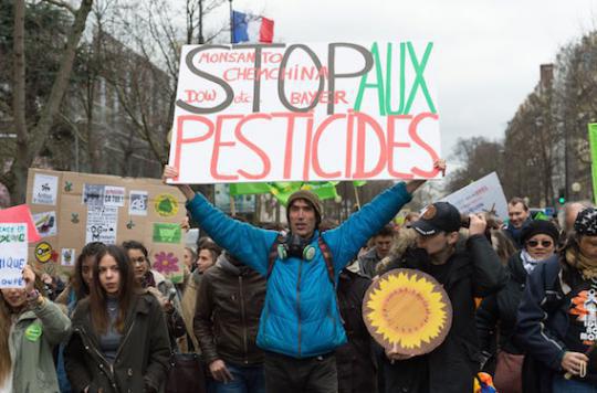 Pesticide: 70% of French people no longer want glyphosate