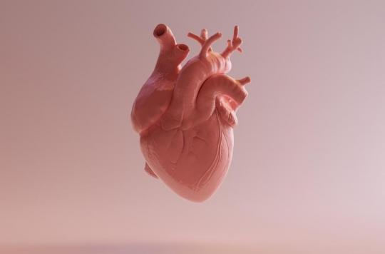 How are heartbeats created? 