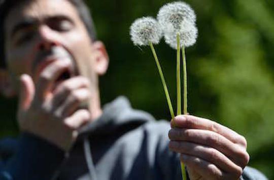 Allergies: pollen alert in almost all of France