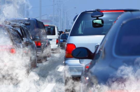 Pollution: traces found in the human brain