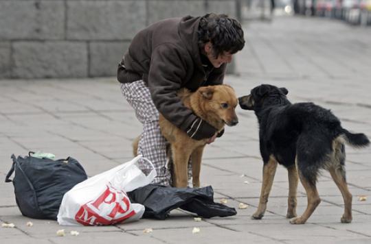 Access to healthcare: the Red Cross worries about the most vulnerable