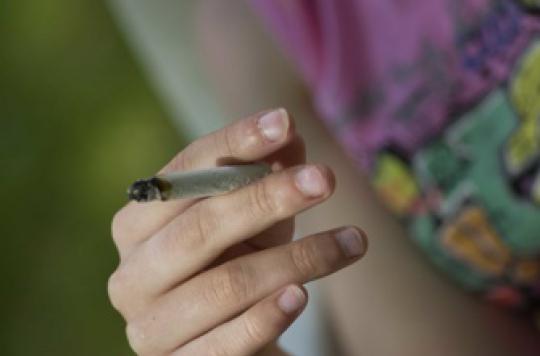 Cannabis: smoking during puberty makes you smaller 