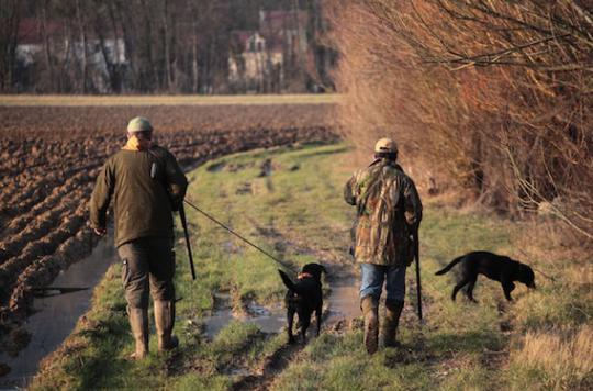 Hunting: beware of the risk of tularemia