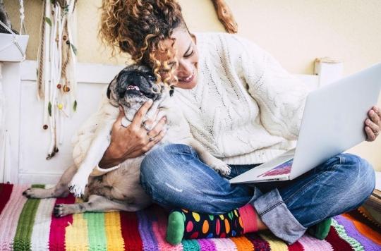 Anxiety: petting dogs and cats reduces stress 