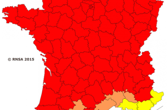 Allergies: all of France in the red