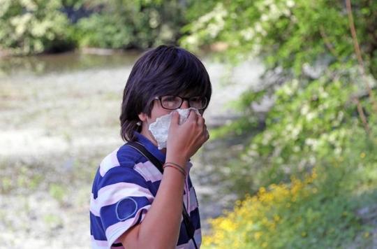 Allergy: France invaded by grass pollens