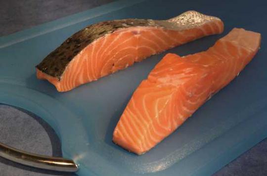 GMOs: United States authorizes genetically modified salmon