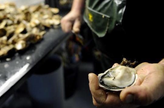 Norovirus: oysters promote gastroenteritis