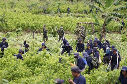 Drugs: Colombia bans pesticide spraying