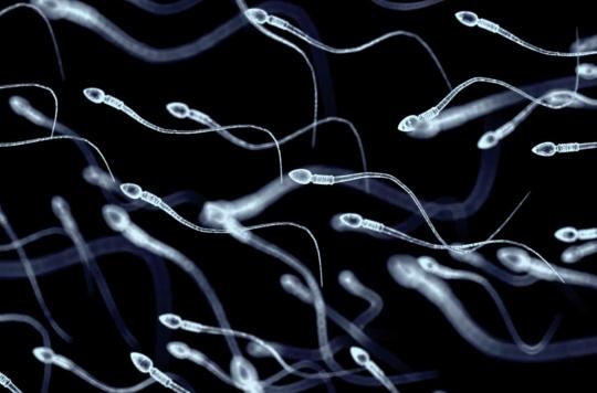 Fertility: should we really fear a decline in sperm quality?