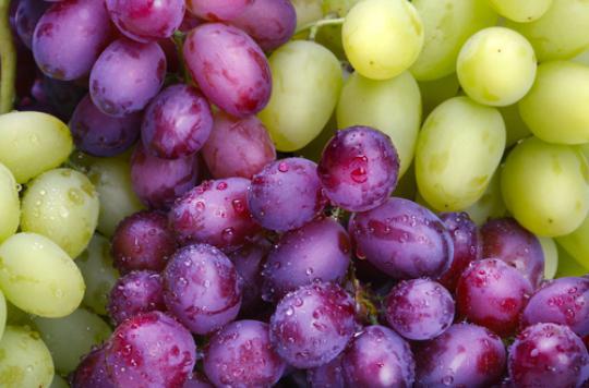 Alzheimer’s: eating grapes to prevent disease