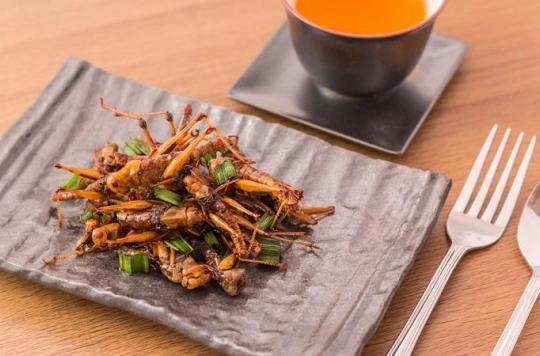 Diet: why not insects?