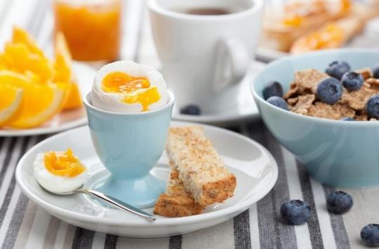 Breakfasts rich in protein make you more tolerant