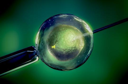 IVF: uterine microbiota would influence success