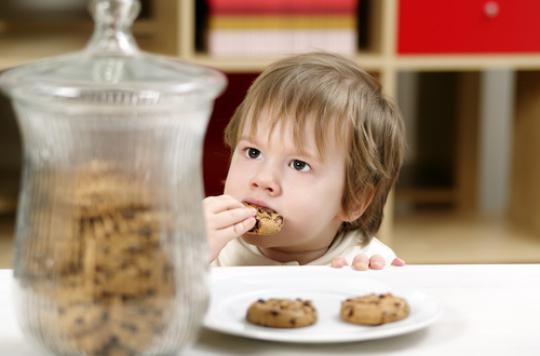 Acrylamide in cookies: Nestlé to investigate