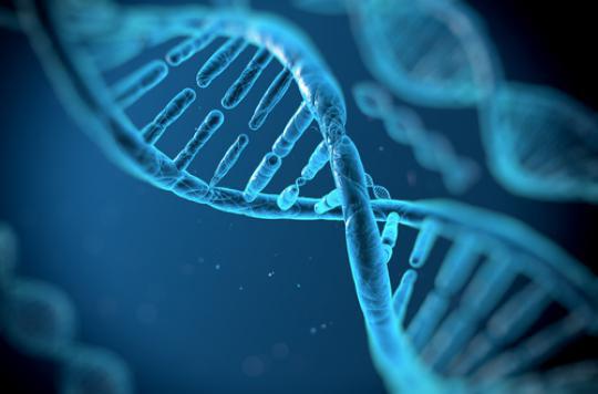 Genetic manipulations: 76% of French people for therapeutic use