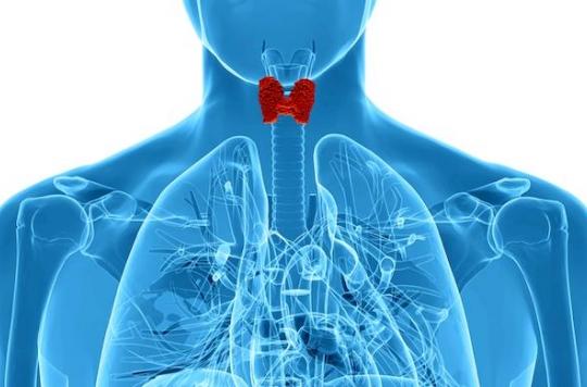 Natural seasonal variations in thyroid activity govern our sexuality