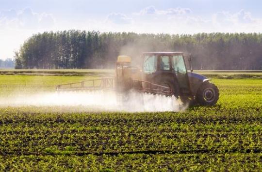 Charente: battle around an anti-pesticide decree