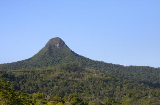 Leprosy: 56 cases in Mayotte and 4 in Reunion in 2015