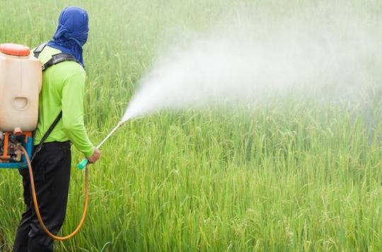 Pesticides: two Triskalia employees seek redress