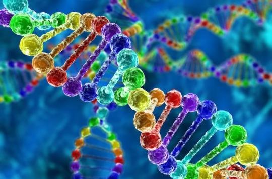 Breast cancer genes increase risk of getting cancer, but not mortality