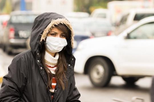 Pollution: a course of B vitamins could reduce the impact on health