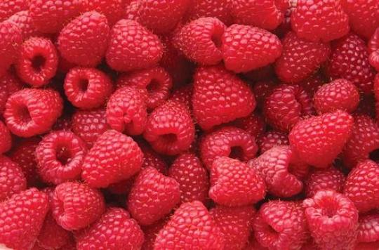 Food poisoning: recall of frozen raspberries